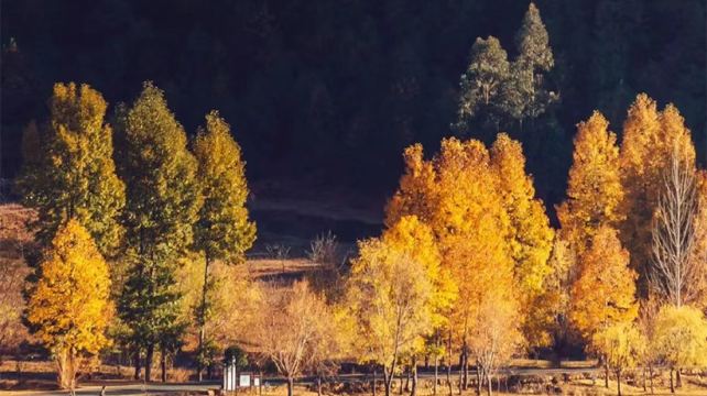 6-Day Yunnan Tour from Lijiang· Dali, Shangri-La, Tiger Leaping Gorge, Pudacuo National Forest Park, Songzanlin Temple, Jade Dragon Snow Mountain