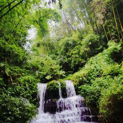 宜宾蜀南竹海+李庄文化旅游度假区+四川省宜宾五粮液酒厂3日2晚私家团