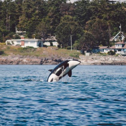 加拿大温哥华+维多利亚7日5晚私家团