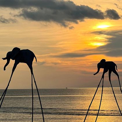越南胡志明市+富国岛7日6晚自由行