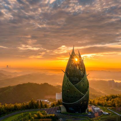 益阳+桃花江竹海景区+紫金湾欢乐王国+云台山风景区+益阳古城+会龙公园-栖霞寺+会龙山6日5晚私家团