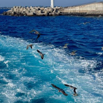 济州岛2日1晚私家团