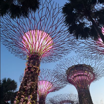 新加坡+马来西亚5日4晚自由行