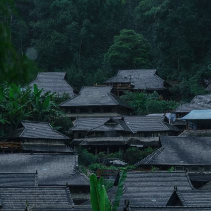 云南普洱+景迈山茶林文化景区3日2晚私家团