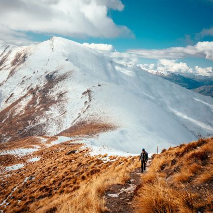 澳大利亚墨尔本+新西兰南岛12日10晚私家团
