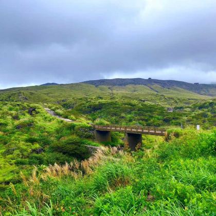 日本九州+熊本市+鹿儿岛市+宫崎市+福冈7日6晚私家团