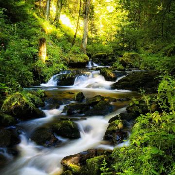 德国慕尼黑+黑森林5日4晚私家团