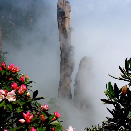 江西南昌+庐山+婺源+三清山风景区+井冈山+景德镇7日6晚私家团