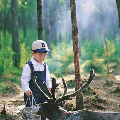 哈尔滨+漠河+北极村5日4晚跟团游