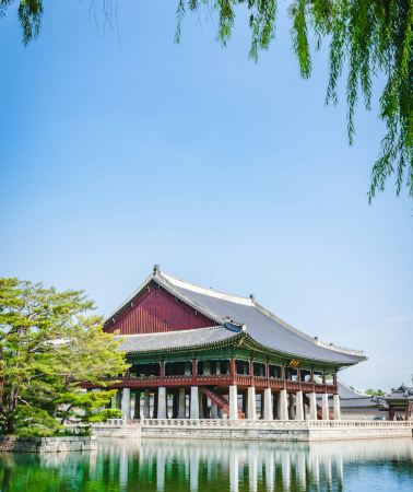 7D6N • South Korea + Seoul + Busan: Customizable 4-star hotels. Classic Seoul-Busan itinerary includes airport transfer, 2-day private car service