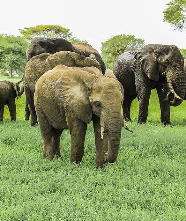 2D1N • 2 day Tour to Hell's Gate, Lake Naivasha & Crescent Island - Daily Departures