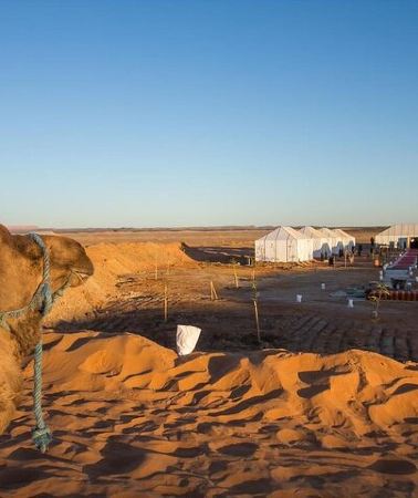 5D4N • 5 days private tour from Casablanca to Marrakech via fes Sahara