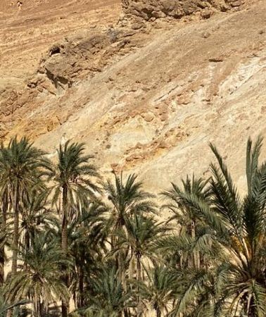 2D1N • Circuit the south of Tunisia in 2 days Sahara Explorer