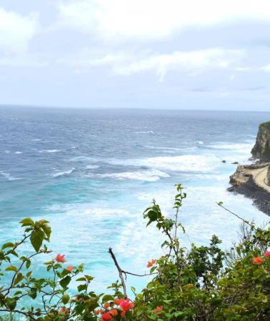 8D7N • Indonesia: Bali + Nusa Penida + Ubud + Lovina Dolphin Watching + Snorkeling Adventure + Forest & Rice Terraces Easy Hike + Diamond Beach + Snorkeling Experience