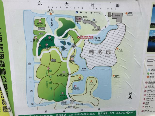 上海滨海森林公园旅行图片 1