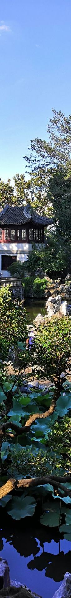 狮子林-苏州