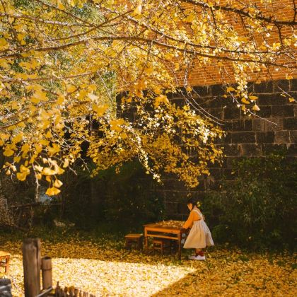 腾冲+芒市+瑞丽6日5晚拼小团