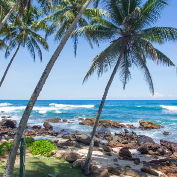 斯里兰卡+马尔代夫8日6晚自由行