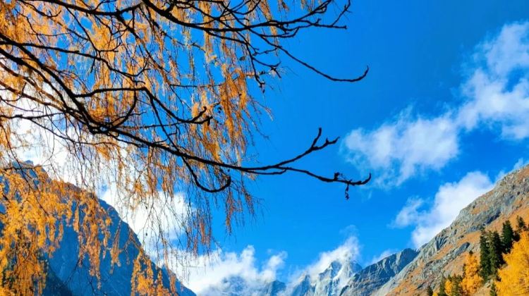 6-day 5-night · Private Tour · Chengdu + Mount Siguniang + Bipenggou + Huanglong National Scenic Area + Jiuzhaigou National Park
