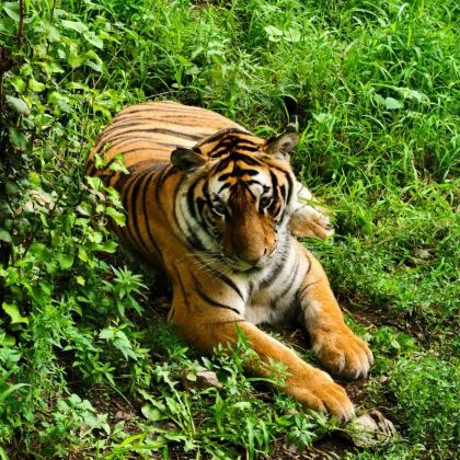 哈尔滨+五大连池市4日3晚自由行