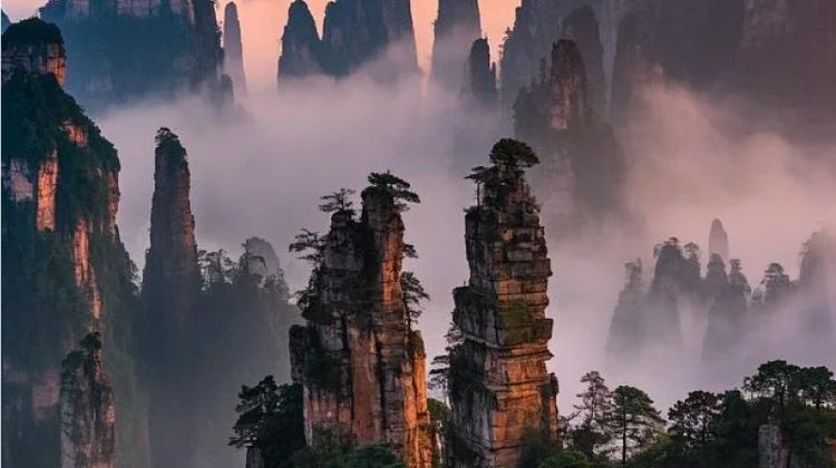 3D2N · Group Tours · Summer must visit Hunan Grand Canyon Glass Bridge + Zhangjiajie National Forest Park + Tianmen Mountain National Forest Park