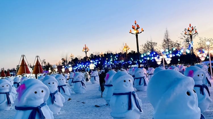 6-Day Classic Northeast China Private Tour· Harbin, Changbai Mountain, Jingbo Lake Scenic Spot, Siberia Tiger Park, Diaoshuilou Waterfall 