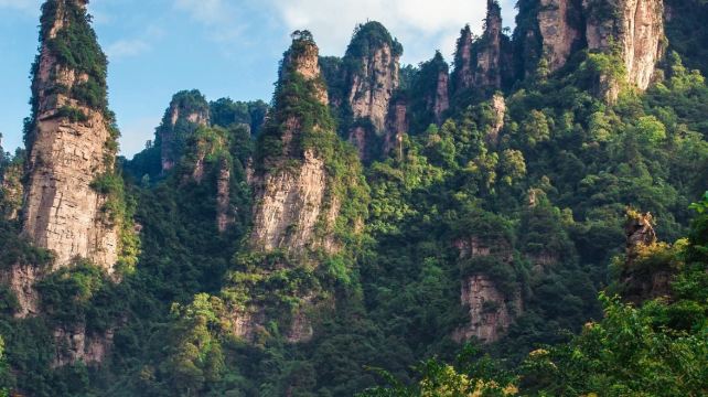 3-Day Private Zhangjiajie Tour·Zhangjiajie National Forest Park | Golden Whip Stream | Great Canyon