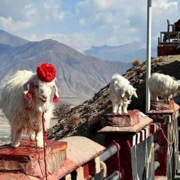 拉萨+羊卓雍措-羊湖观景台+珠峰大本营+圣象天门三生石+纳木措景区+卡若拉冰川+加乌拉+玛旁雍措+穹窿银城+古格王国遗址9日8晚跟团游