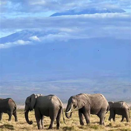肯尼亚10日7晚跟团游