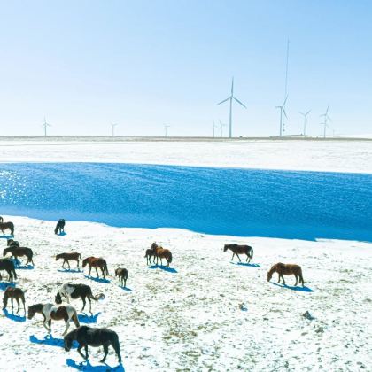 呼和浩特+辉腾锡勒草原+响沙湾6日5晚私家团