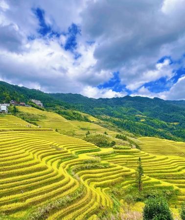 5日4晚 • 金秋特賣：桂林＋陽朔＋龍脊梯田：三星船遊詩畫灕江｜龍脊千層梯田｜遇龍河愜意竹筏漂流｜銀子岩喀斯特溶洞探秘