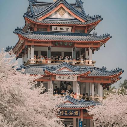 南京+扬州+镇江+无锡4日3晚跟团游