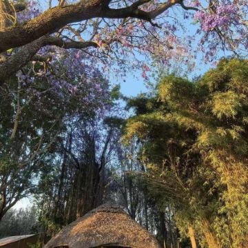 肯尼亚10日9晚私家团