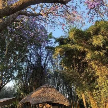 肯尼亚10日9晚跟团游