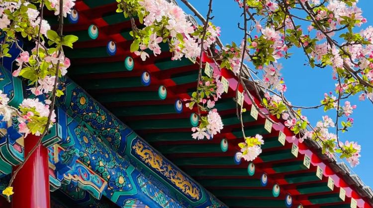 3D2N · Private Tours ·  The Palace Museum , Mutianyu Great Wall - just pure fun. Enjoy a relaxed, activity-focused group experience with English-speaking guide service for on-site commentary