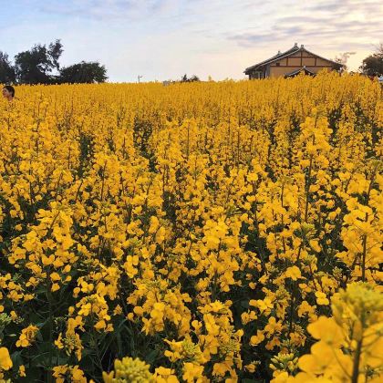 莆田+湄洲岛4日3晚私家团
