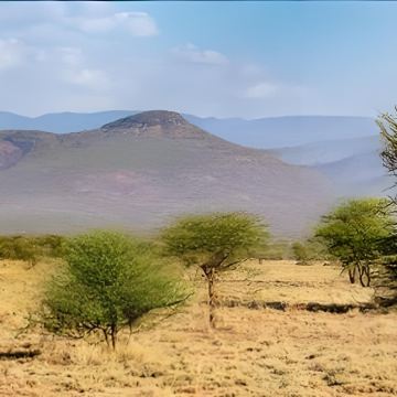 埃塞俄比亚19日16晚跟团游