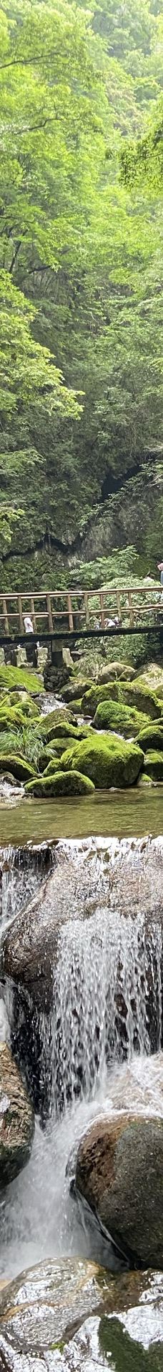 牛背梁国家森林公园-柞水