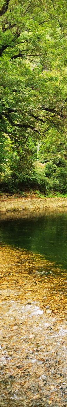 水墨汀溪风景区-泾县