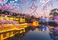 上海+苏州+乌镇+杭州4日3晚跟团游·五星旅行社【明星慢游】住的舒适【宿品牌5钻酒店 享五星自助早】江南美食【含3早3正餐 高餐标50元】本地玩法【畅游苏杭+双水乡】精华景区【留园+乌镇+西塘】