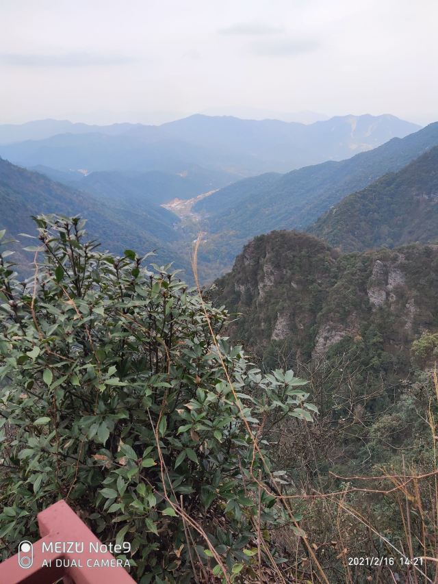 屏山悬索玻璃桥旅行图片 2