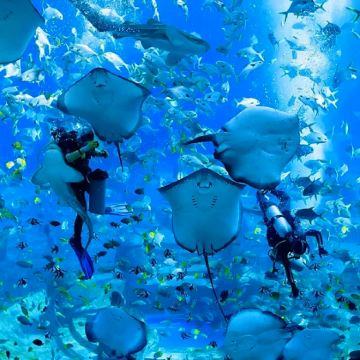 海南三亚4日3晚跟团游