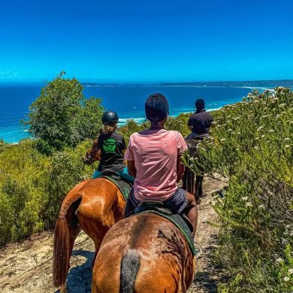 南非约翰内斯堡+开普敦+伊丽莎白港8日7晚私家团