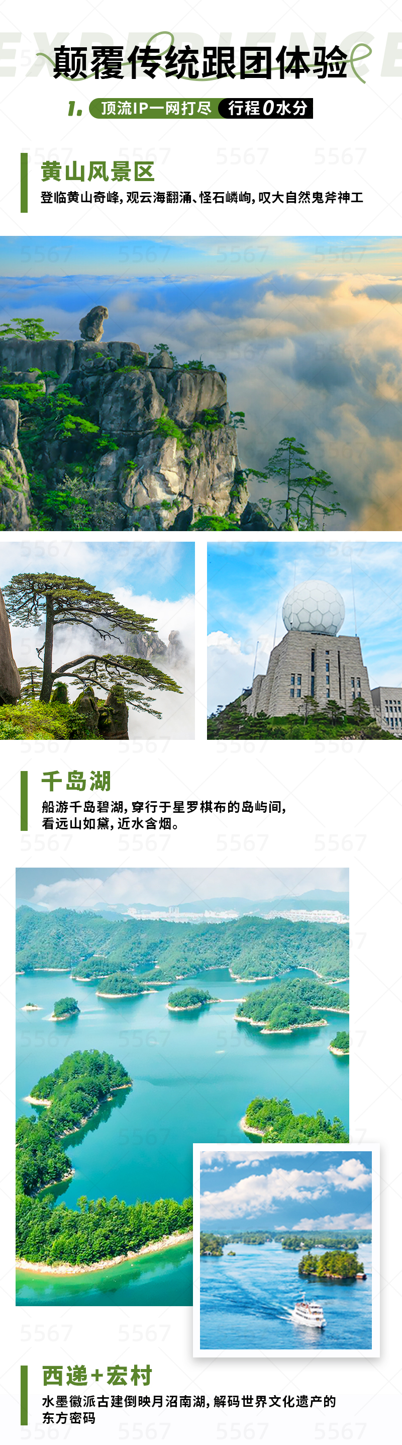 38079338-2 黃山市