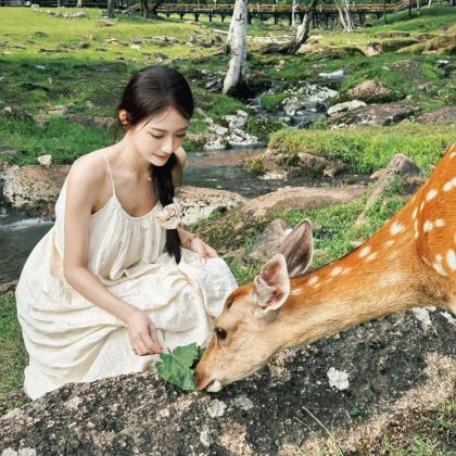 哈尔滨+伊春+漠河+齐齐哈尔+密山+抚远+五大连池风景区14日13晚跟团游