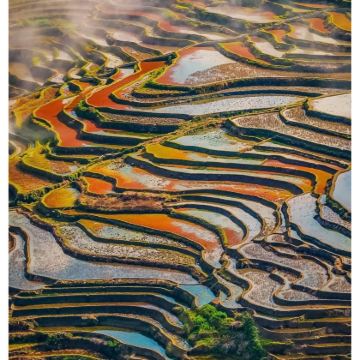 曲靖+罗平+九龙瀑布群4日3晚私家团