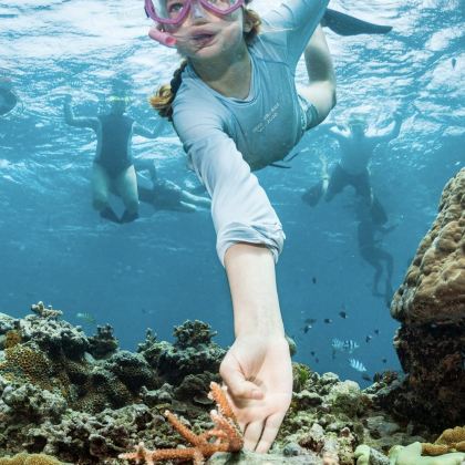 斐济8日5晚自由行