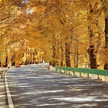 鱼子西+新都桥3日2晚自由行