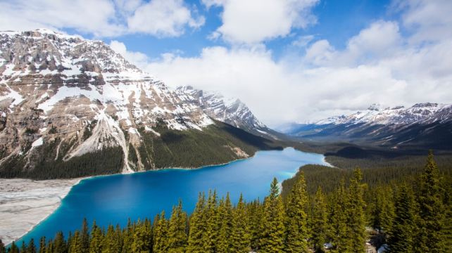 5-Day Banff & Jasper National Parks Tour from Jasper·Banff Gondola, Town of Banff, Kamloops and Vancouver | Jasper free day
