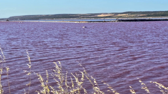 澳大利亞珀斯+赫特瀉湖2日1晚跟團遊·打卡杰倫歌裏的粉色海洋+整隻龍蝦餐+浪漫粉湖（上帝遺落的草莓奶昔）+贈送無人機航拍+ + 全程中文司導+無購物+入住傑拉爾頓4鑽酒店/追星光攝影 +備註+集合點集合